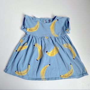 Tea Collection Empire Waist Baby Dress 18-24